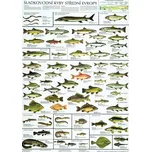 Nakladatelství Scientia Sladkovodní…