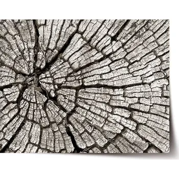 Plakát Sablio Plakát Dřevo - 60x40 cm