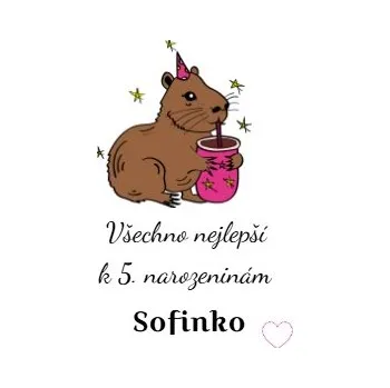 Pánské tričko Přáníčko s potiskem Roztomilá capybara růžová narozeniny