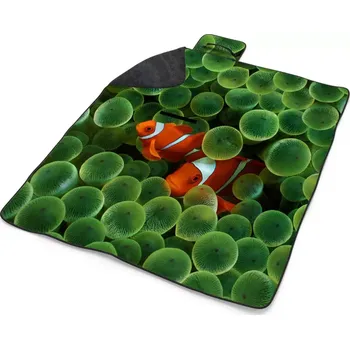 deka Sablio Plážová deka Klaun očkatý: 200x140 cm