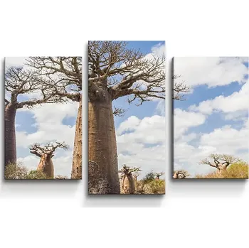 Obraz Sablio Obraz - 3-dílný Strom - 75x50 cm