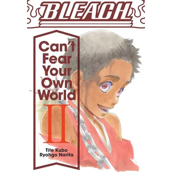 Komiks pro dospělé Bleach: Can't Fear Your Own World 2