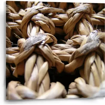 Obraz Sablio Obraz Banánové listí - 50x50 cm