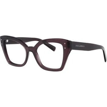 Dolce & Gabbana DG 3386 3045 53