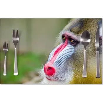 prostírání Sablio Prostírání Mandril: 40x30cm