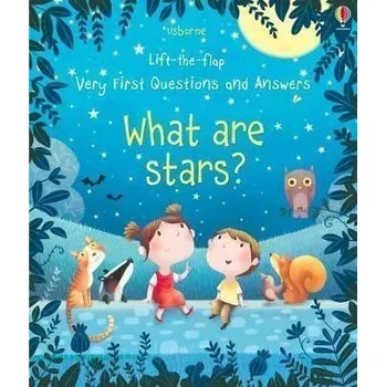 Cizojazyčná kniha What are Stars?