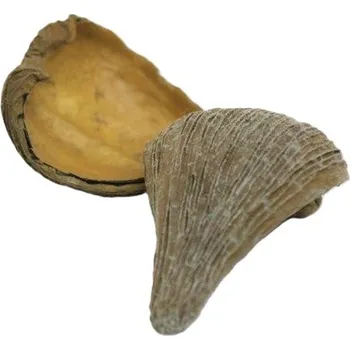 Pradip frosted bílá 500 g