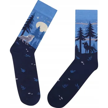 Pánské ponožky Knižní Hity Ponožky modré velikost 39-42