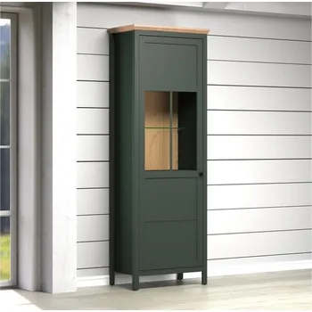 Knihovna Vitrína do obývacího pokoje včetně LED osvětlení STANTON (typ 220913104) tmavě zelená/dub Evoke