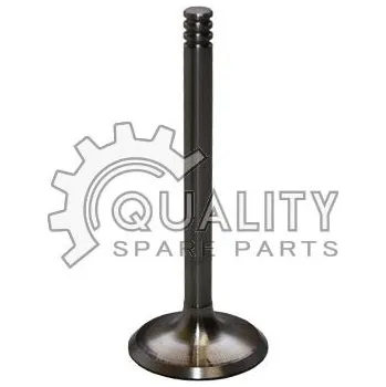 Ventil motoru Sací ventil BGA V998902