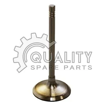 Ventil motoru Sací ventil BGA V991759