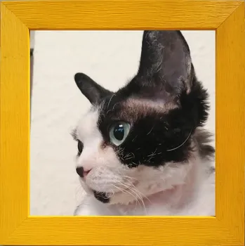 Obraz Rámeček na jedno foto Marek i Darek 20 x 20 cm