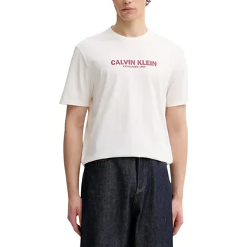 Calvin Klein T-Shirt Uomo Calvin Klein modrá | bílá 3488729