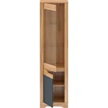 Max-i Vitrína prosklená SCOTTY 1V1D dub craft zlatý / grafit umístění: levé