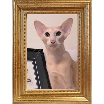 Obraz Rámeček na jednu fotografii Marek i Darek 18 x 13 cm