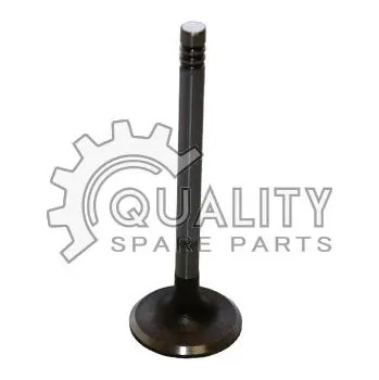 Ventil motoru Sací ventil BGA V996061