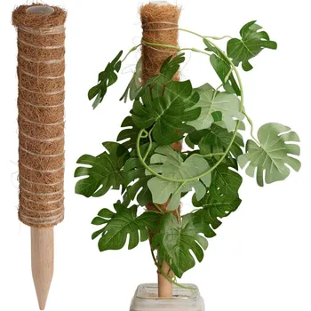 Opora na rostlinu PODPORA PRO ROSTLINY KOKOSOVÁ 50CM PROGARDEN