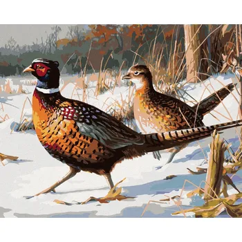 Diamantové malování ZUTY Diamantové malování 40x50 cm bez rámu, D00-050-040-601541