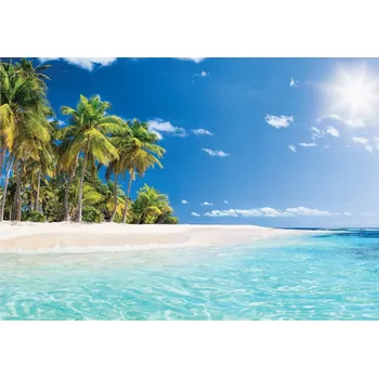 Fototapeta Fototapeta PLÁŽ MOŘE PALMY Oceán Výhled 254x184