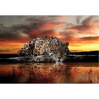 Fototapeta Fototapeta GEPARD TYGR JAGUÁR SAFARI 3D 368x254 cm