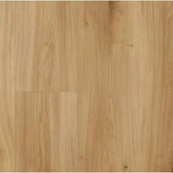 laminátová podlaha Parador Basic 400 Dub Horizont přírodní P1593813