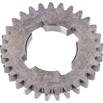 NTS Parts Ozubené kolo 29 zubů pro Sachs 505/3, Hercules Prima SX, Supra 3D, DKW, KTM, Rixe MG00062643
