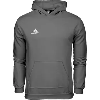 Chlapecká mikina Mikina adidas ENTRADA 22 Hoody H57515 ŠEDÁ 152 CM