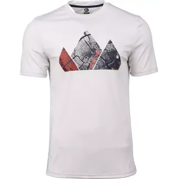 Pánské tričko Pánské funkční tričko GTS 211831 šedá XL