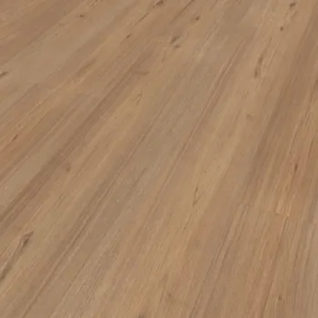 vinylová podlaha Vinyl Floor Forever Grand Floor Dub Hedvábný 40014 + dárek