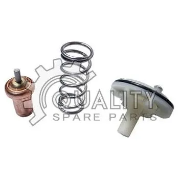 Těsnění motoru Termostat VIKA 11211473501