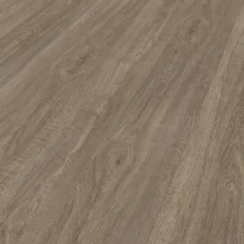 vinylová podlaha Vinyl Floor Forever Grand Floor Dub Kamenný 40007 + dárek