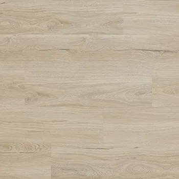 Arbiton Woodric Eir Acoustic Dub Salerno CWSA 209