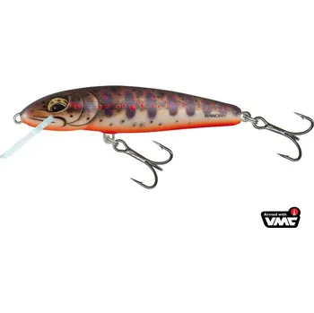 Umělá nástraha SALMO ® Wobler Salmo MINNOW FWM *: Wobler Salmo MINNOW FWM 5,0cm Sinking