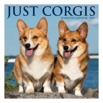 Kalendář Corgis 2026 12 X 12 Wall Calendar (Brožovaná)