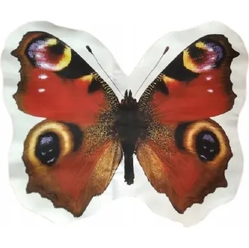 Polštář POLŠTÁŘ TVAROVANÝ MOTÝLEK BABOČKA PAVÍ OKO