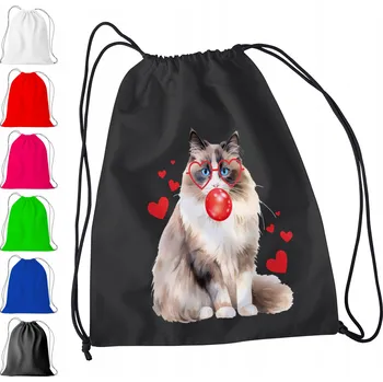 Obraz ČERNÝ VAK DO ŠKOLKY, ŠKOLY, NA TV - VTIPNÁ KOČKA