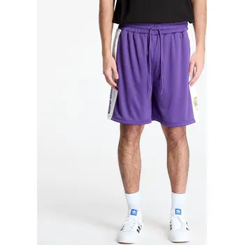 Pánské kraťasy Šortky New Era Los Angeles Lakers NBA Graphic Mesh Shorts True Purple S