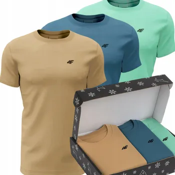 Pánské tričko s kulatý výstřihem 4F, velikost M