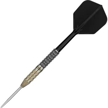 Šipka Šipky steel Target Japan Black Marque Reyn 24g SP, 90% wolfram