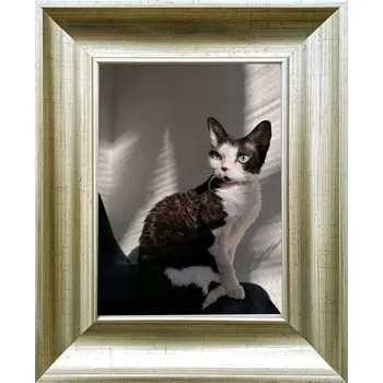 Obraz Rámeček na jednu fotografii Marek i Darek 21 x 15 cm