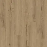 Parador SPC Basic 5.3 Dub Cambridge přírodní P1748825