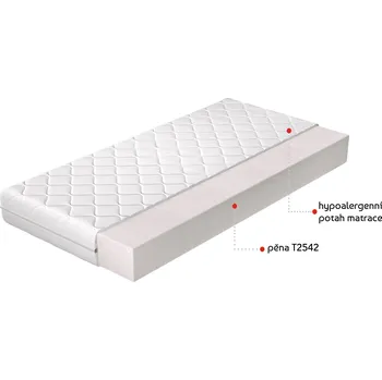 Matrace Matrace Lino Rozměr: 160 x 200 cm, Potah: Hypoalergenní potah