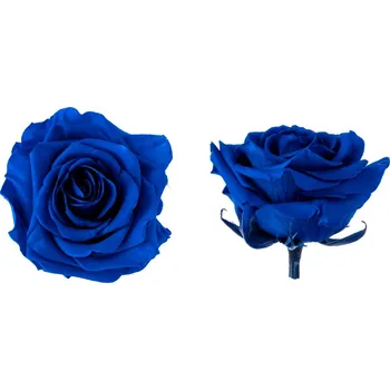 Hlavy růží - premium 4 ks Royal blue - tmavě modrá