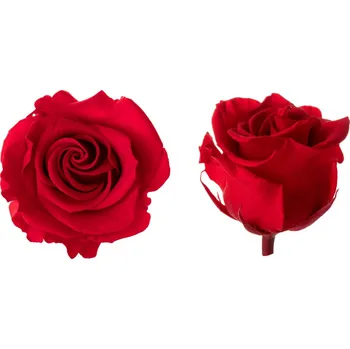 Hlavy růží - princess 16 ks Red - červená