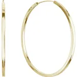 Evolution Group s.r.o. Pozlacené stříbrné náušnice kruhy 61009