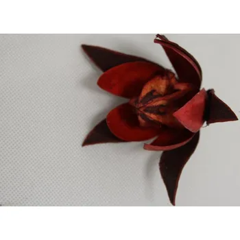 Lily color červená