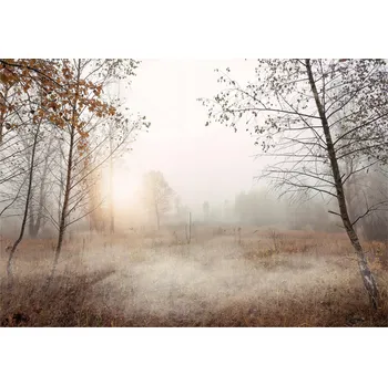 Fototapeta Fototapeta STROMY POLE Les V Mlze Příroda 368x254