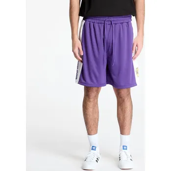 Pánské kraťasy Šortky New Era Los Angeles Lakers NBA Graphic Mesh Shorts True Purple L