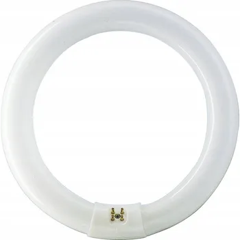 Zářivka MASTER TL-E Circular Super 80 40W/865 kruhová zářivka