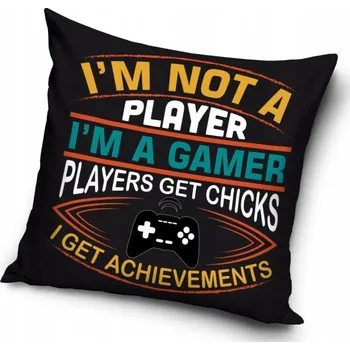 Polštář Polštář 40 x 40 cm